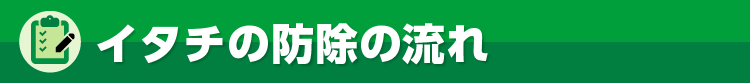 イタチの防除の流れ