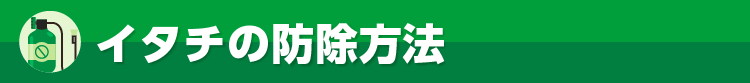 イタチの防除方法