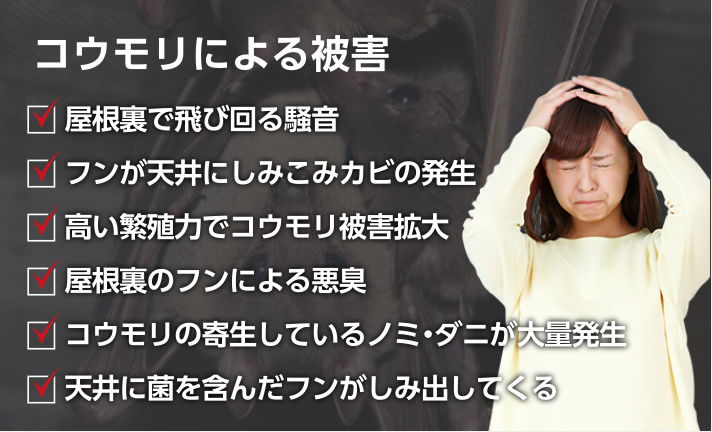 屋根裏で飛び回る騒音 フンが天井にしみこみカビの発生 高い繁殖力でコウモリ被害拡大 屋根裏のフンによる悪臭 コウモリの寄生しているノミダニが大量発生 天井に菌を含んだフンがしみ出してくる