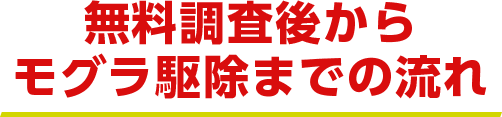 無料調査後からモグラ駆除までの流れ