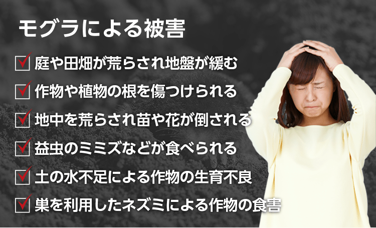 庭や田畑が荒らされ地盤が緩む 作物や植物の根を傷つけられる 地中を荒らされ苗や花が倒される 益虫のミミズなどが食べられる 土の水不足による作物の生育不良 巣を利用したネズミによる作物の食害