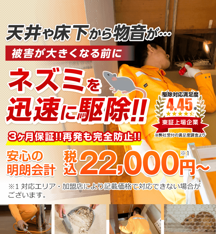 天井や床下から物音が…被害が大きくなる前にネズミを完全駆除！3ヶ月保証!! 再発も完全防止!!