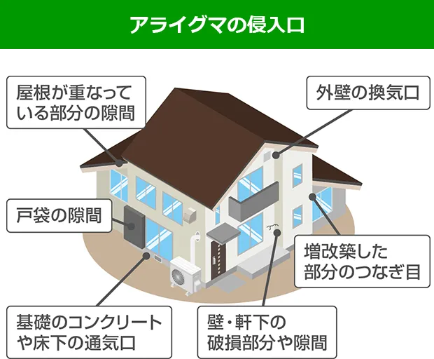 アライグマの侵入口