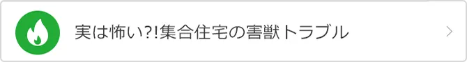 実は怖い?!集合住宅の害獣トラブル