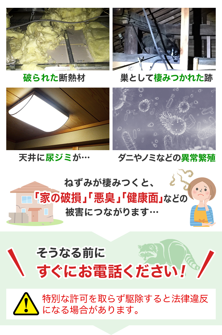 ねずみが棲みつくと「家の破壊」、「悪臭」などの被害につながります…そうなる前にすぐにお電話ください！