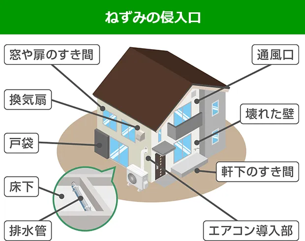 ねずみの侵入口