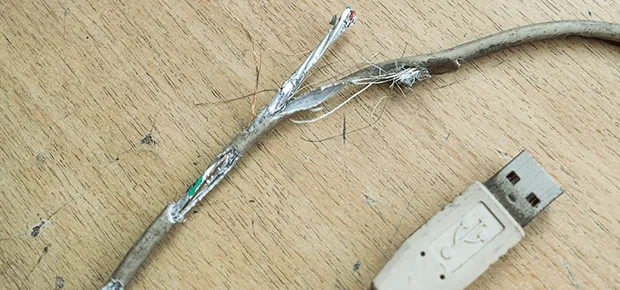 ねずみの習性