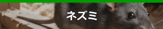 ねずみ