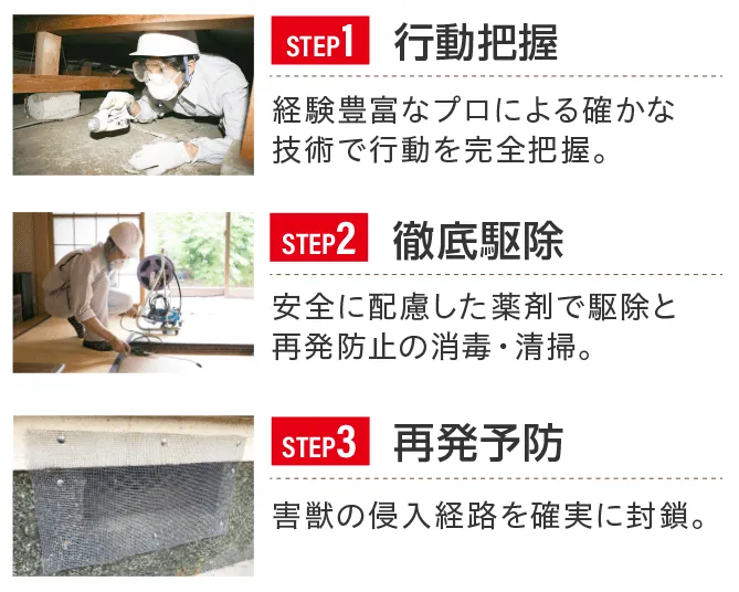 STEP1 行動把握 STEP2 徹底駆除 STEP3 再発予防