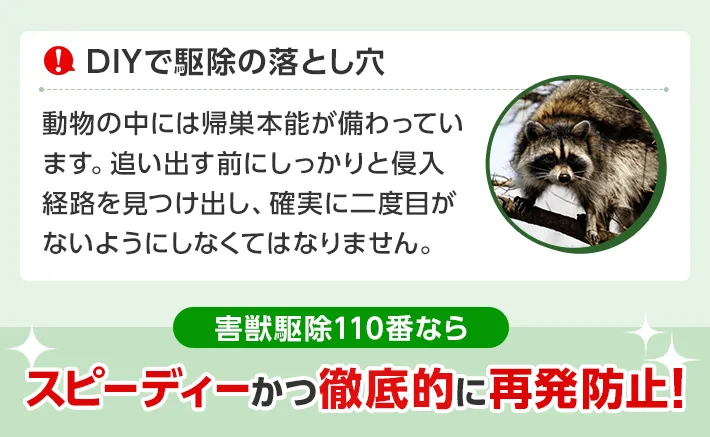 害獣駆除110番ならスピーディーかつ徹底的に再発防止!