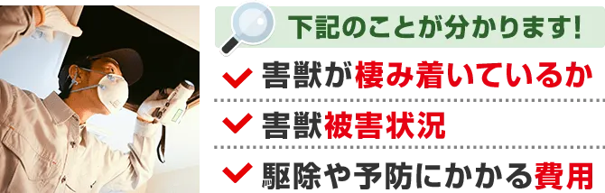 ・害獣が棲み着いているか・害獣被害状況・駆除や予防にかかる費用が分かります