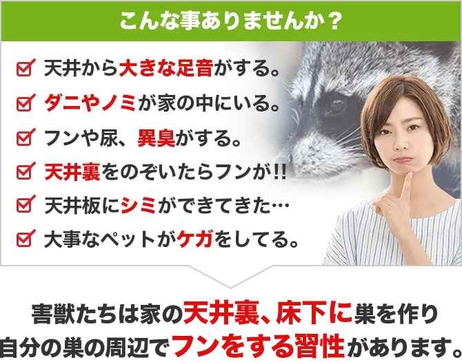 こんな事ありませんか?・天井から大きな足音がする・ダニやノミが家の中にいる・フンや尿、悪臭がする・天井裏を覗いたらフンが!!・天井板にシミができてきた…・大事なペットがケガをしている
