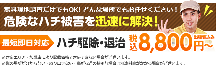 無料現地調査だけでもOK! どんな場所でもお任せください！危険なハチ被害を迅速に解決！