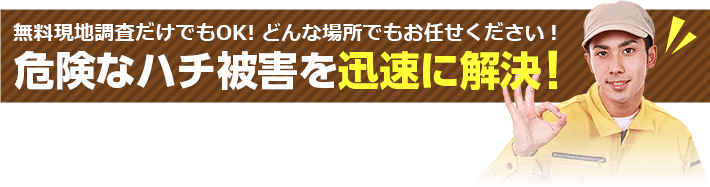 無料現地調査だけでもOK! どんな場所でもお任せください！危険なハチ被害を迅速に解決！