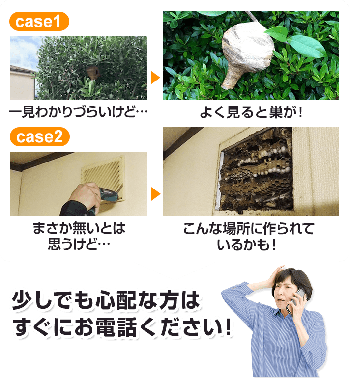 1匹でもハチを見かけたら巣があるかも！？少しでも心配な方はすぐにお電話ください！