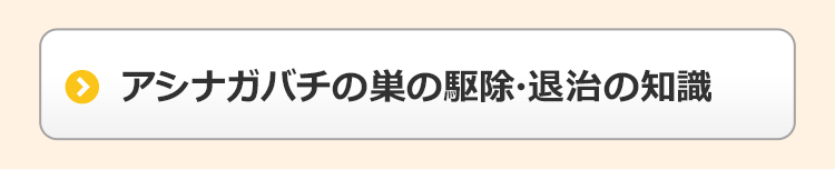 アシナガバチの巣の駆除・退治の知識