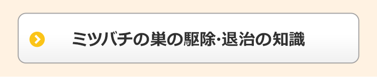 ミツバチの巣の駆除・退治の知識