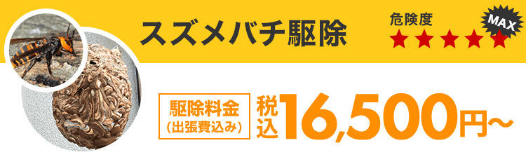 スズメバチ駆除 16,500円~(税込)(出張費込み)