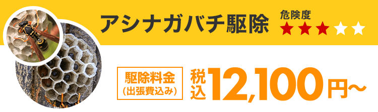 アシナガバチ駆除 12,100円~(税込)(出張費込み)