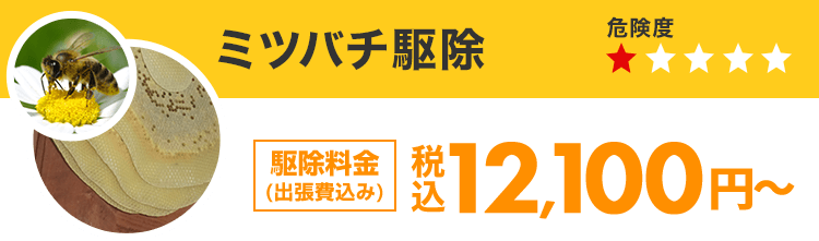 ミツバチ駆除 12,100円~(税込)(出張費込み)