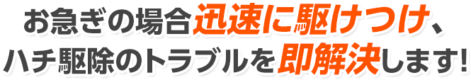 お急ぎの場合迅速に駆けつけ、ハチ駆除のトラブルを即解決します！