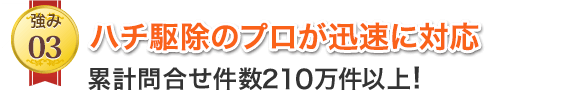 ハチ駆除のプロが迅速に対応