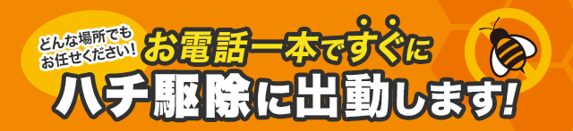 お電話一本ですぐにハチ駆除に出動します！