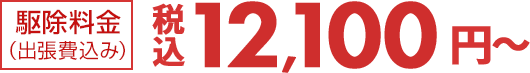 駆除料金税込12,100円～（税込）(出張費込み)