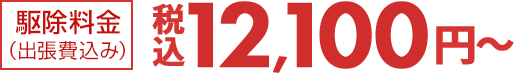 駆除料金税込12,100円～（税込）(出張費込み)