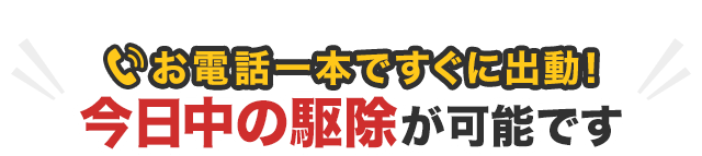 今日中の駆除が可能です