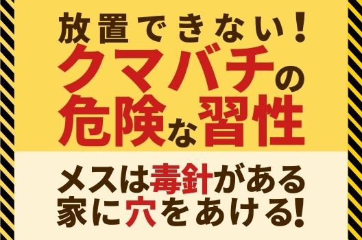 クマバチ駆除はスプレーが最適！方法は？可愛い容姿でもメスには注意