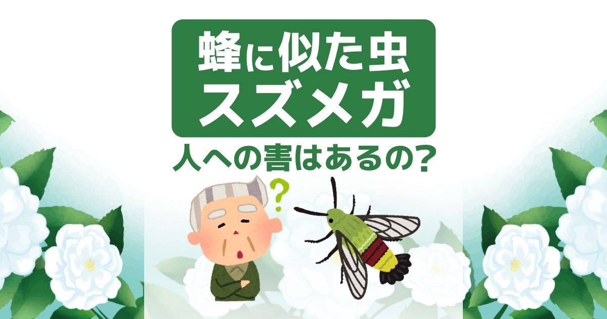 蜂に似た蛾「スズメガ」「ホウジャク」とは？人への害はあ…