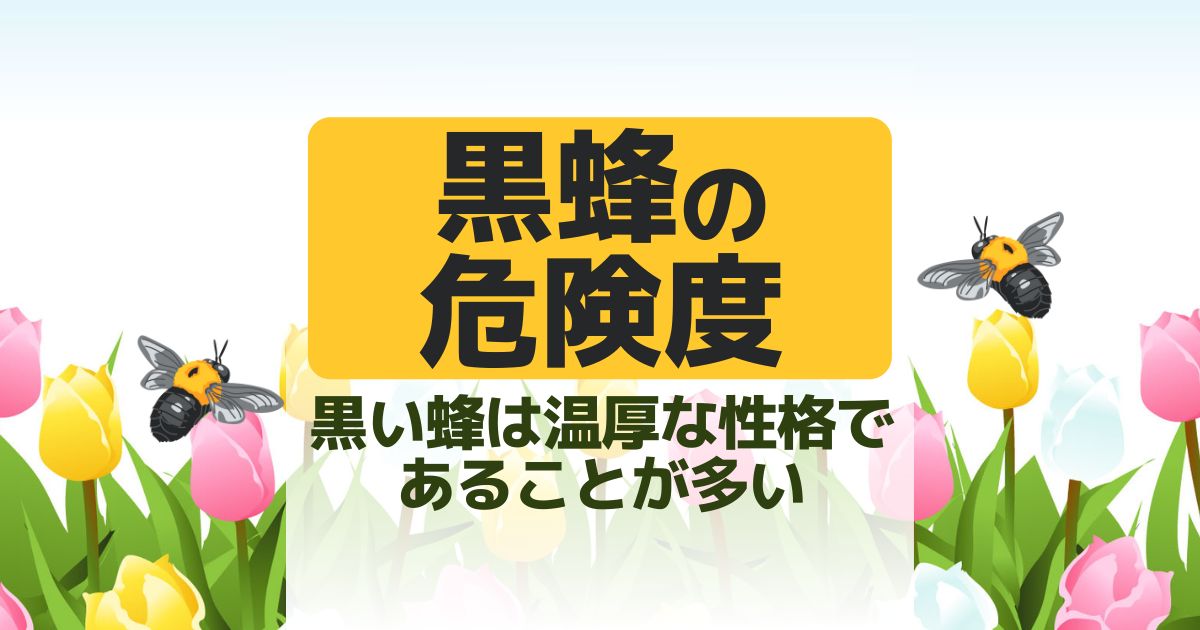 黒い蜂は5種類もいる！ガラの悪そうな黒蜂たちの危険レベルと対処法