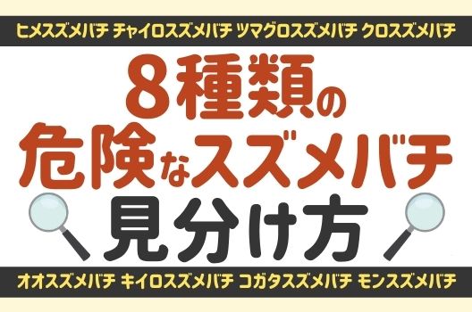 スズメバチの見分け方！8種類の特徴やアシナガバチ・ミツバチの違い