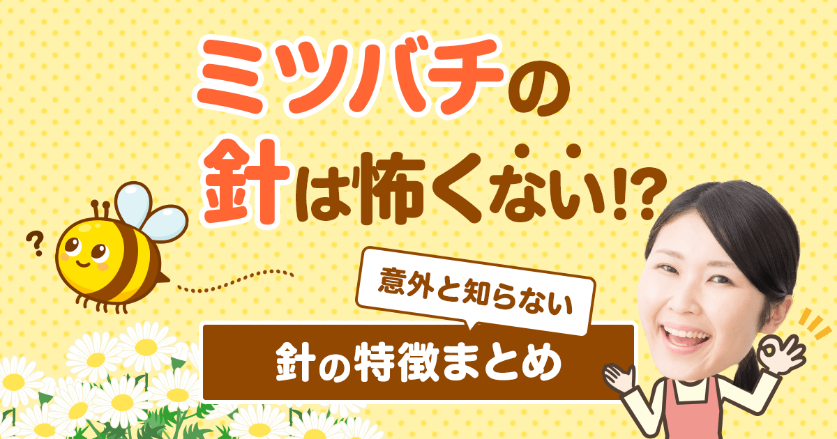 ミツバチの針は怖くない！意外と知らない針の特徴まとめ