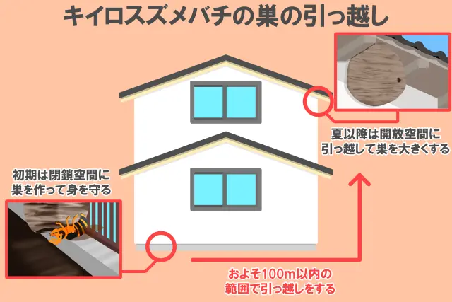 キイロスズメバチの巣の引っ越し