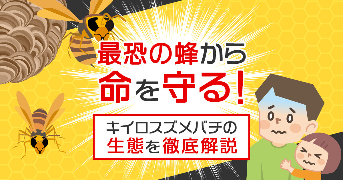 恐怖の蜂から命を守る！キイロスズメバチの生態を徹底解説