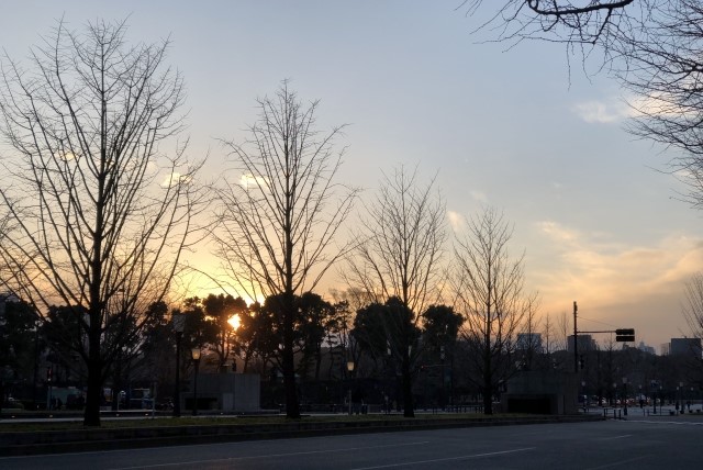 スズメバチの活動と気温の関係性