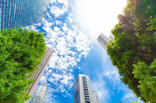 役所の蜂の巣駆除サービスの内容とは