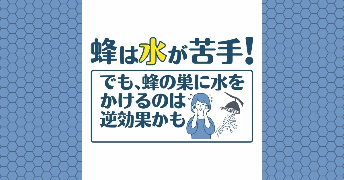 『蜂の巣に水をかける』←危険？ 正しい蜂の巣駆除の知識をご紹介