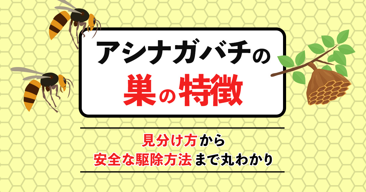 アシナガバチの巣を安全に駆除して蜂トラブルにさよなら！再発させない対策も解説