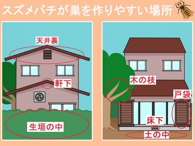 スズメバチが巣を作りやすい場所