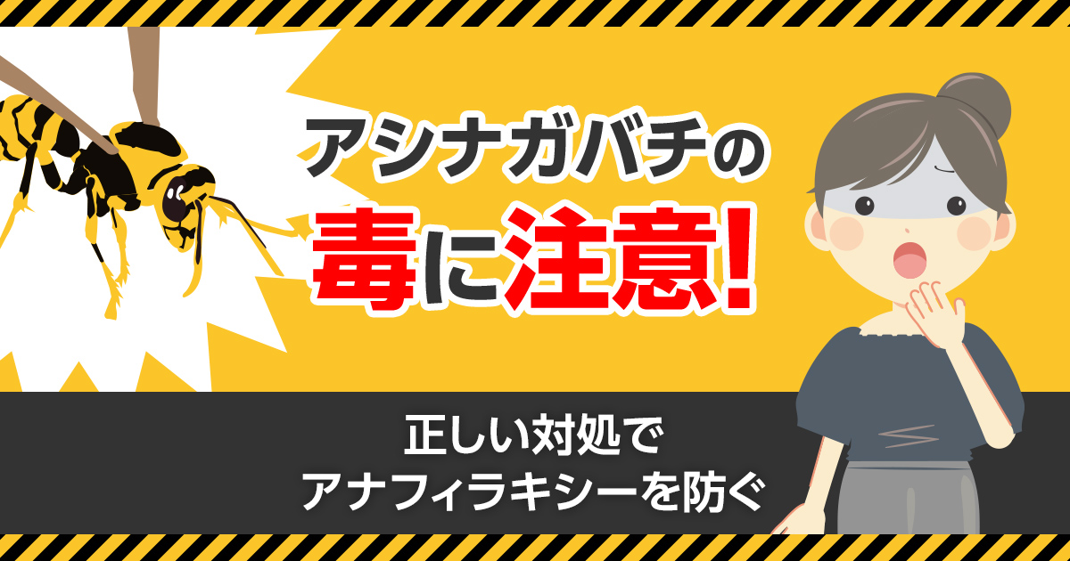 アシナガバチの毒に注意してください