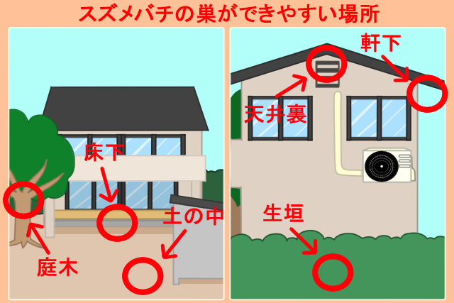 スズメバチの巣ができやすい場所