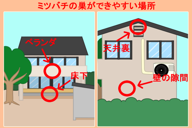 ミツバチの巣ができやすい場所