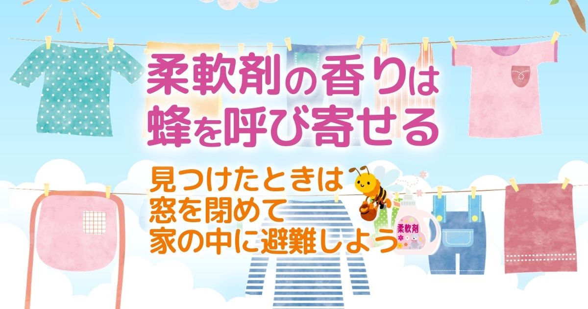 ベランダやお庭の洗濯物を蜂から守ろう！迷わず業者に相談することで命を守る！