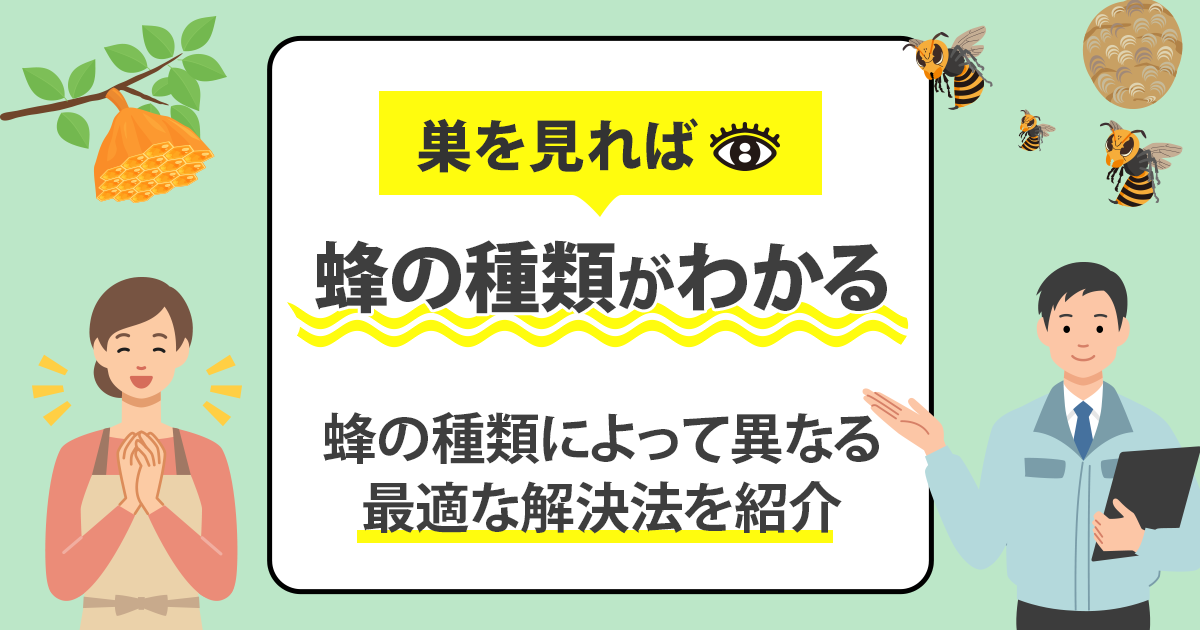 蜂の巣の見分け方は簡単！蜂の種類に応じた最適な蜂トラブル解決法