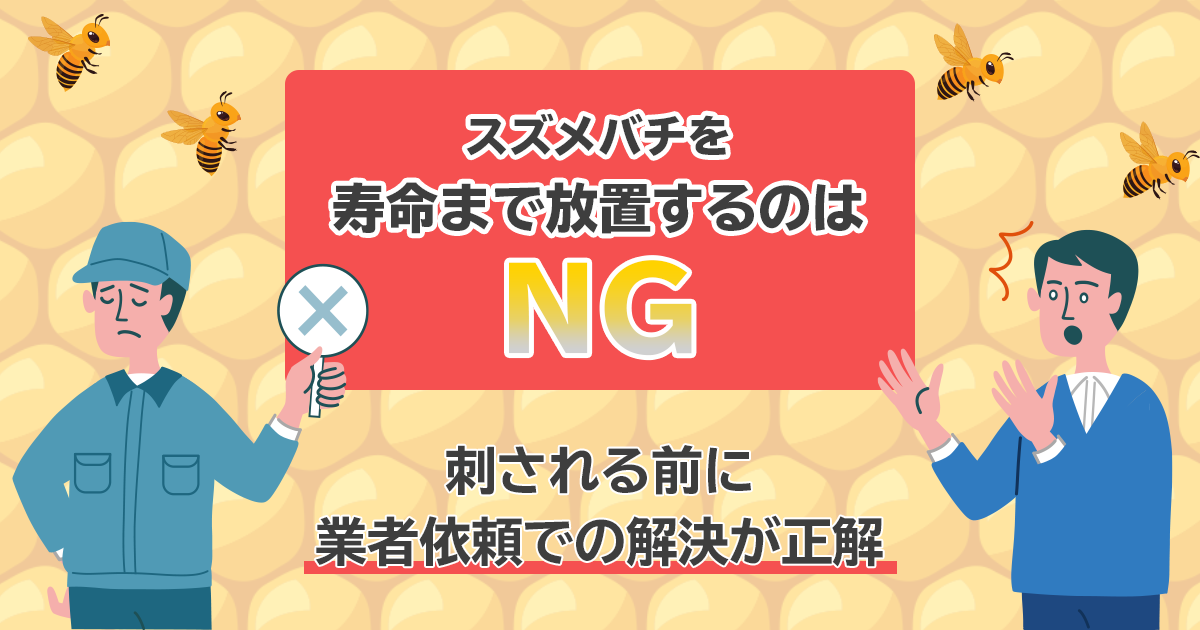 スズメバチの寿命は11月まで！刺されないための最善の対…