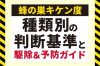 【蜂の巣駆除】作り始めや作りかけなら自分で駆除できる可能性も
