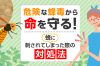 蜂に刺されてしまったときの対処法